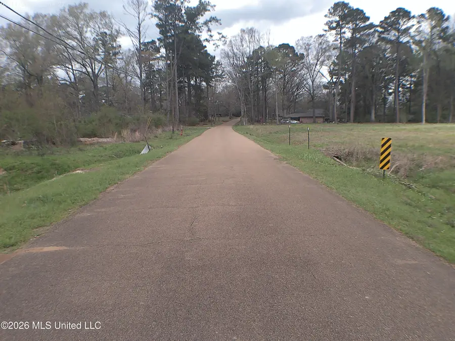 206 E Meadowbrook Drive, Brookhaven, MS 39601 - #3