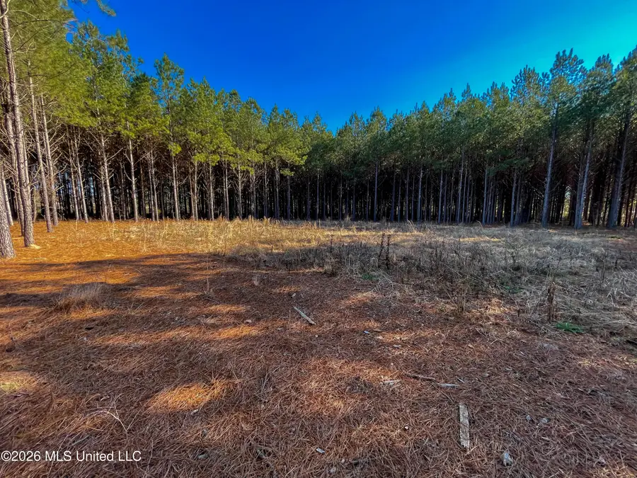 609 Barker Road, Morton, MS 39117 - #3