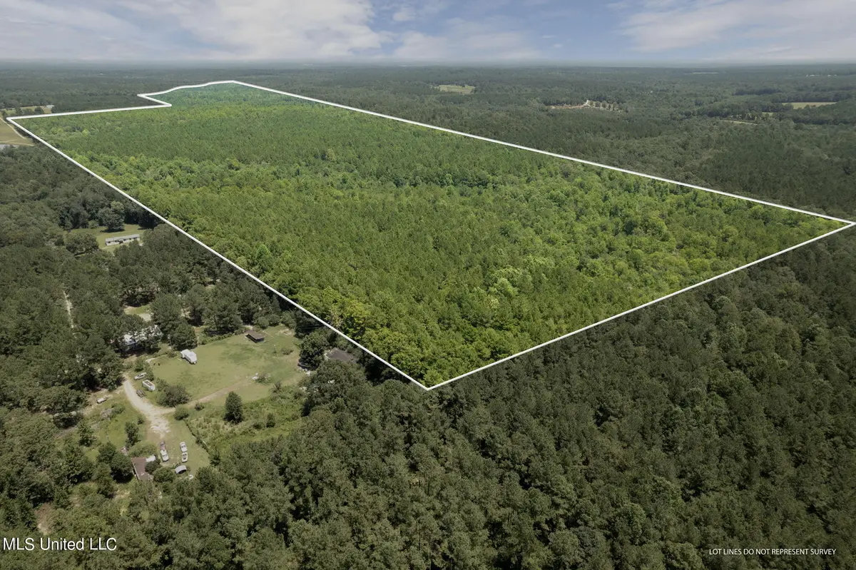 293 Acres Scruggs Road, Sumrall, MS 39482 - #1