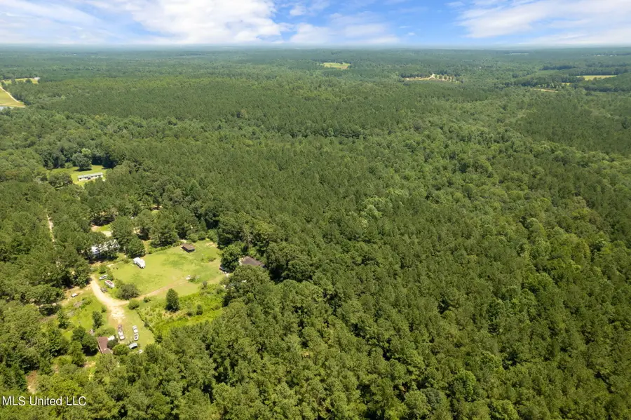 293 Acres Scruggs Road, Sumrall, MS 39482 - #2