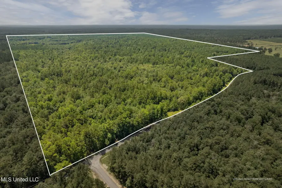 293 Acres Scruggs Road, Sumrall, MS 39482 - #3