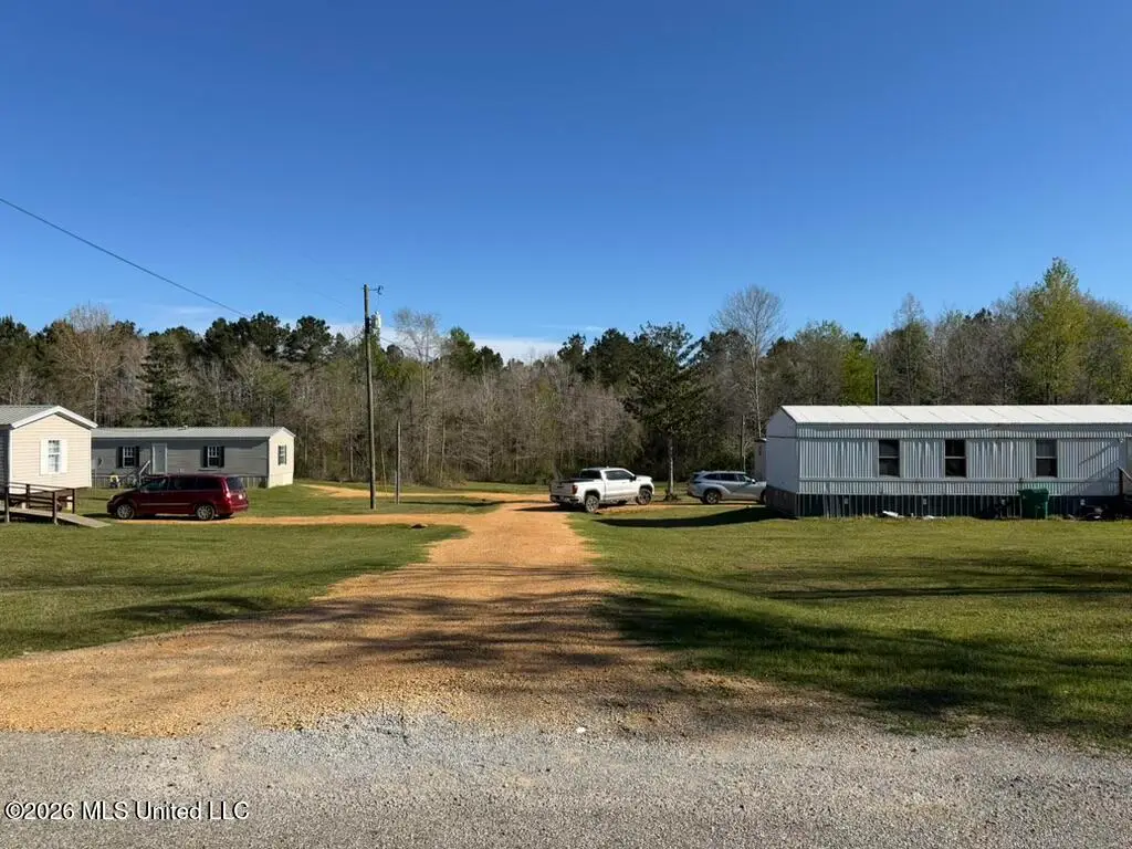 1404 SW Gene Road, Bogue Chitto, MS 39629 - #1