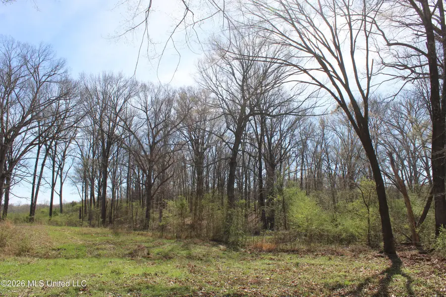 8 Barton Desoto Road, Olive Branch, MS 38654 - #3