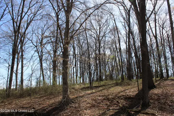 9 Barton Desoto Road, Olive Branch, MS 38654