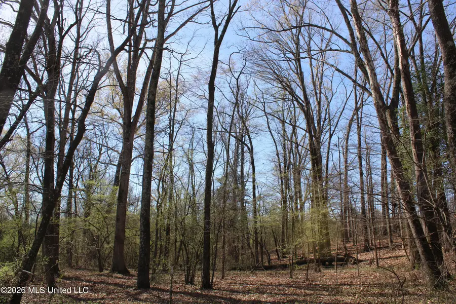 11 Barton Desoto Road, Olive Branch, MS 38654 - #2