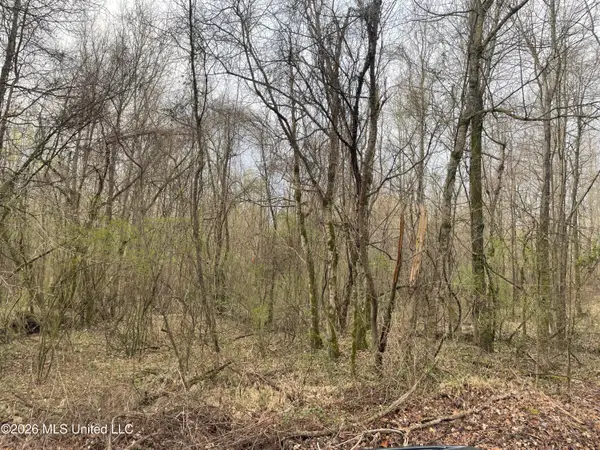 Bend Road, Coldwater, MS 38618