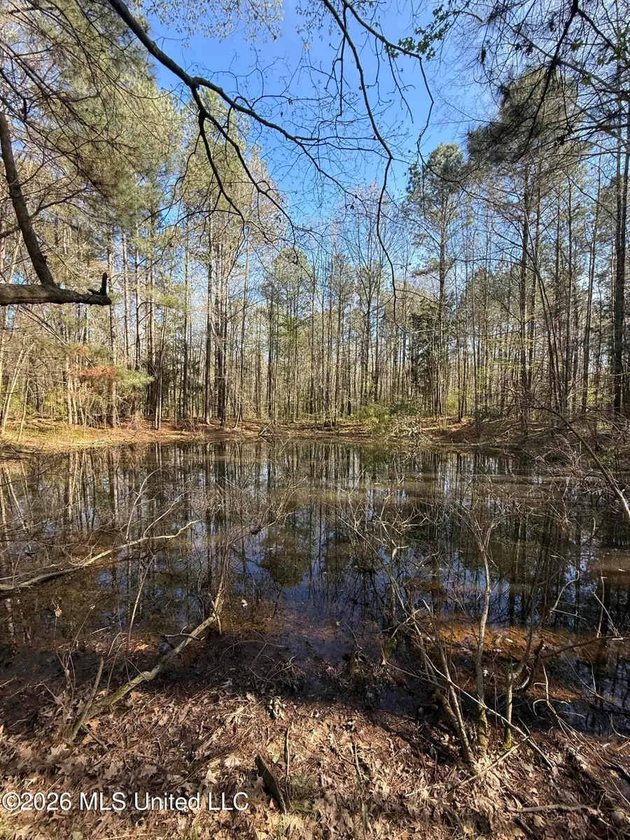 0 Ms-13, Lena, MS 39094 - #3