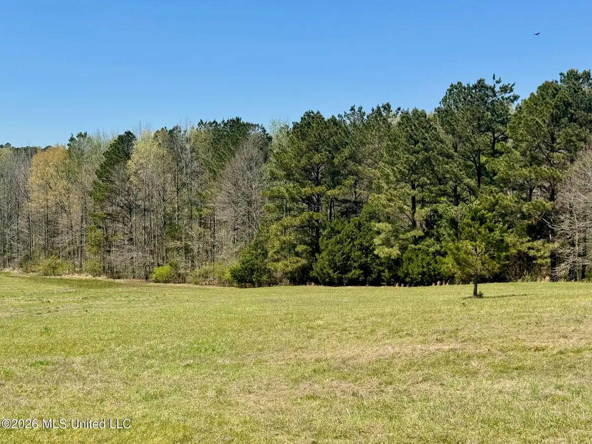 735 Cedar Hill Road, Flora, MS 39071 - #1