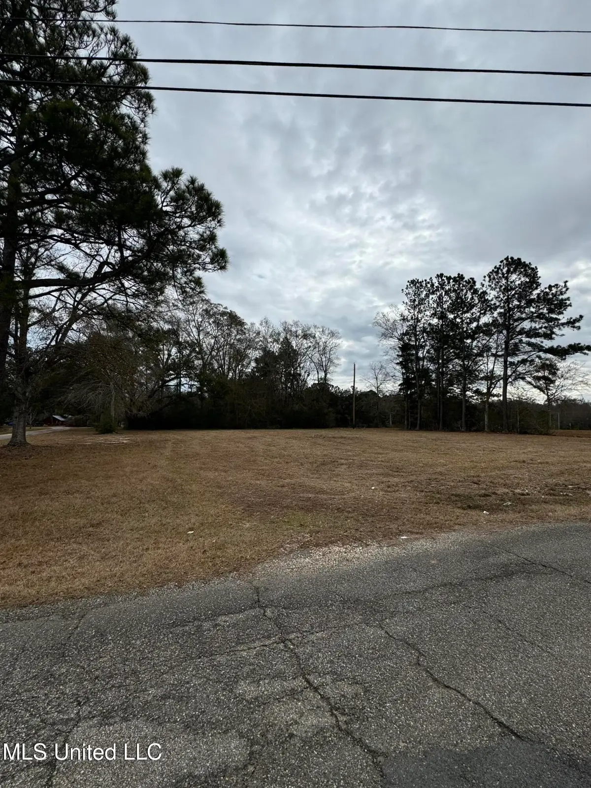 George Mitchell Road, Carriere, MS 39426 - #1