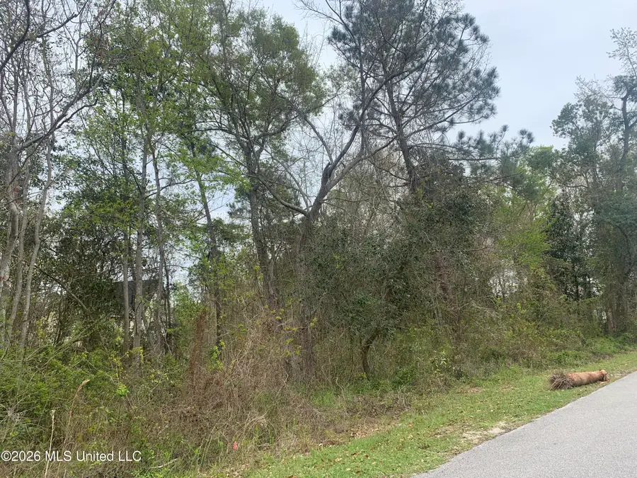 000 Pine Ridge Drive, Waveland, MS 39576 - #3