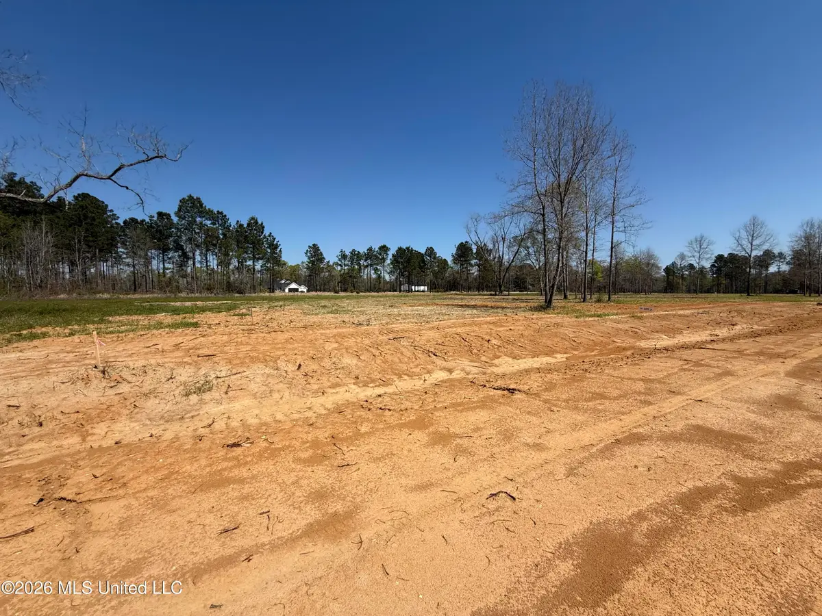 Lot 2 Oakley Lane, Lucedale, MS 39452 - #1
