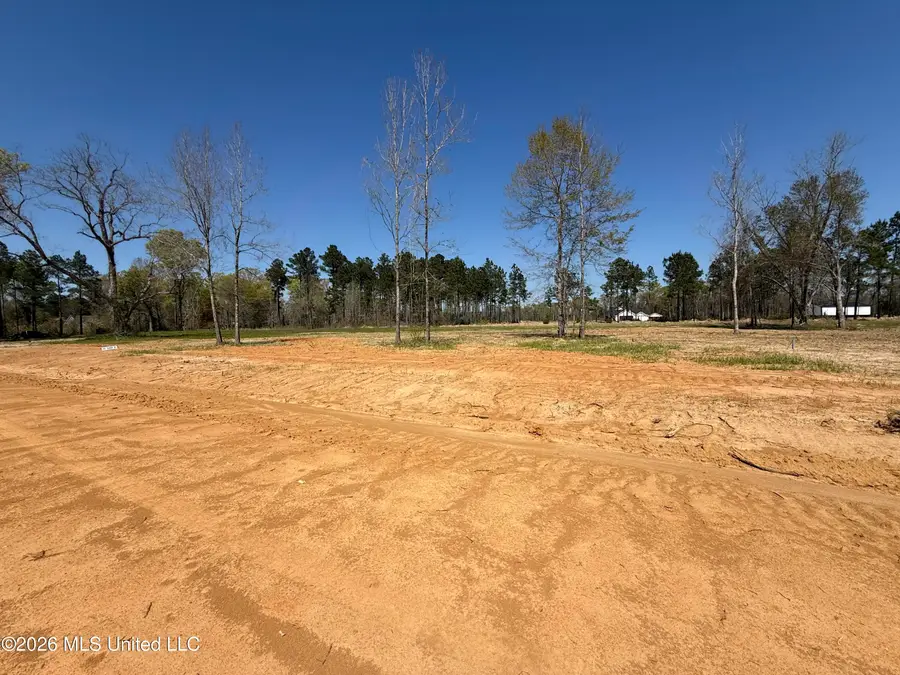 Lot 2 Oakley Lane, Lucedale, MS 39452 - #3