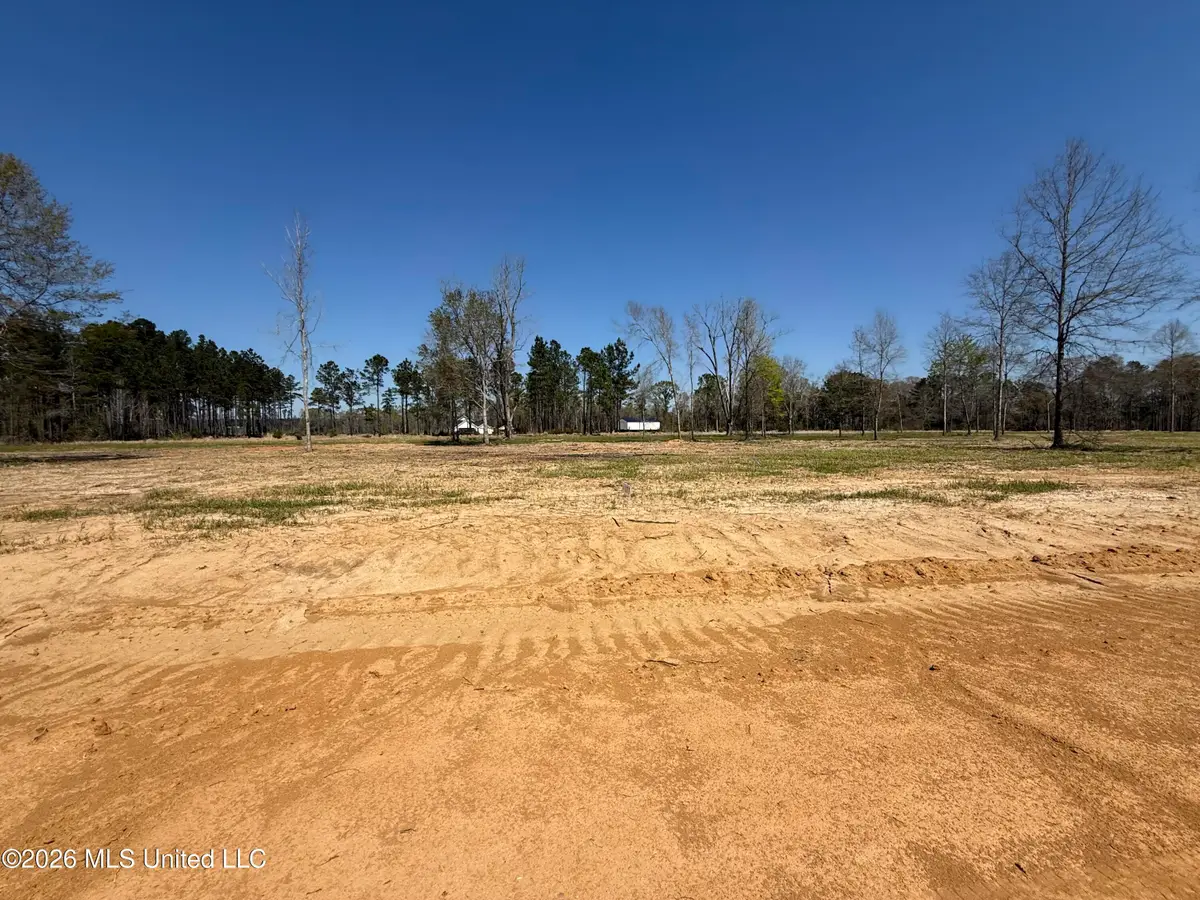 Lot 3 Oakley Lane, Lucedale, MS 39452 - #1