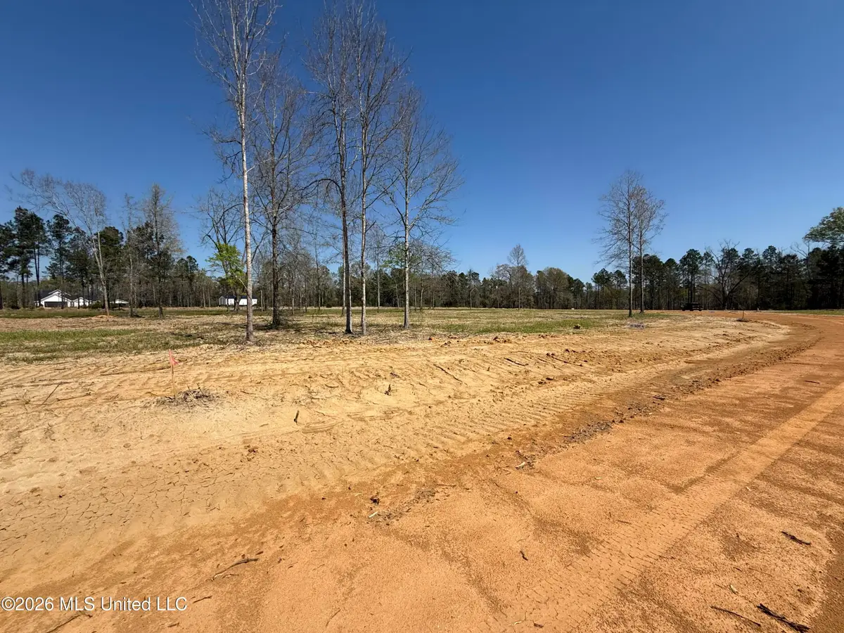Lot 4 Oakley Lane, Lucedale, MS 39452 - #1