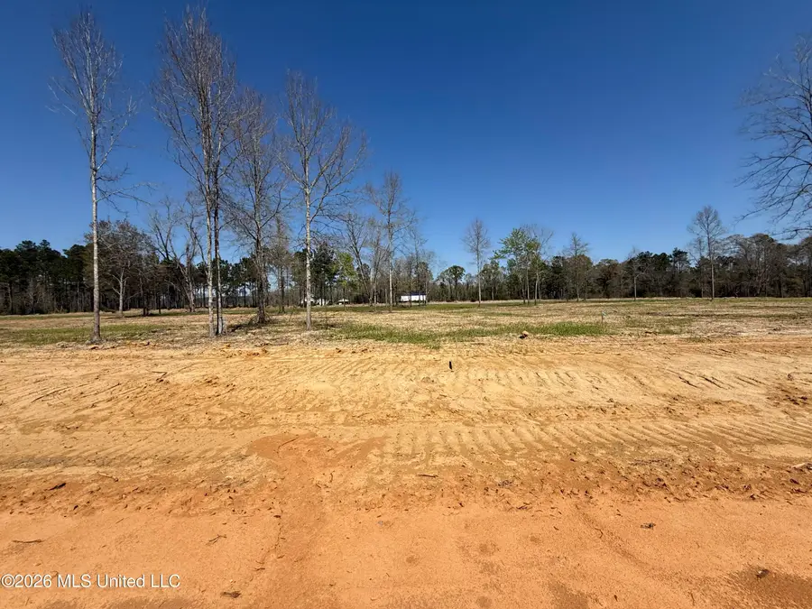 Lot 4 Oakley Lane, Lucedale, MS 39452 - #2