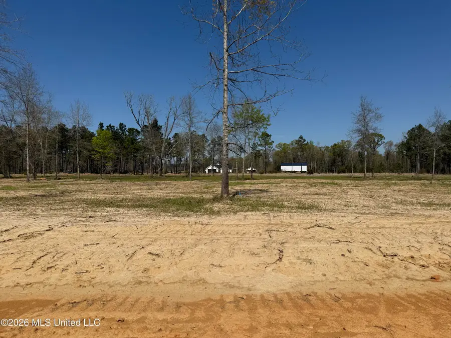Lot 5 Oakley Lane, Lucedale, MS 39452 - #2
