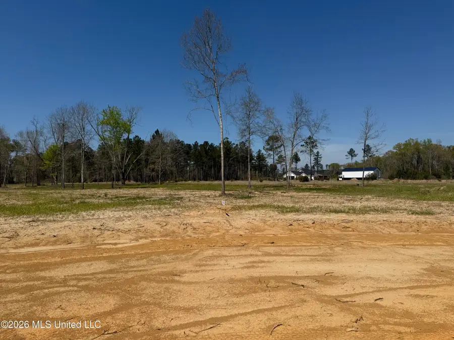 Lot 6 Oakley Lane, Lucedale, MS 39452 - #2