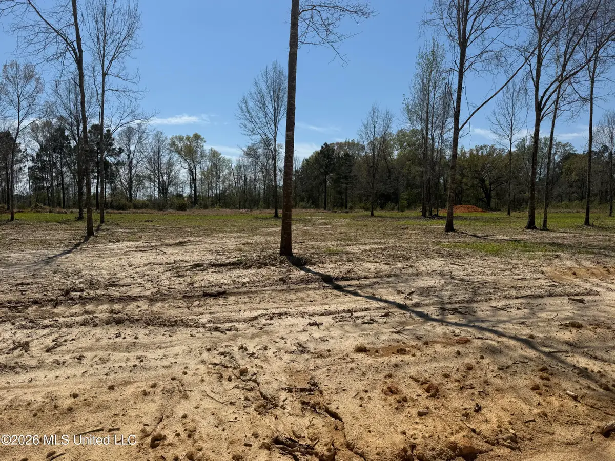 Lot 10 Oakley Lane, Lucedale, MS 39452 - #1