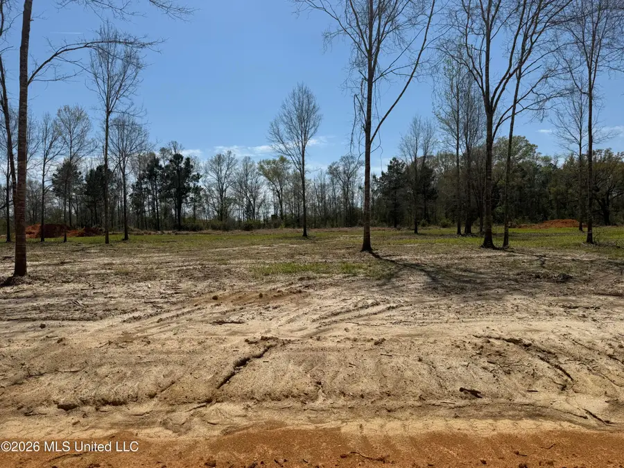 Lot 10 Oakley Lane, Lucedale, MS 39452 - #3