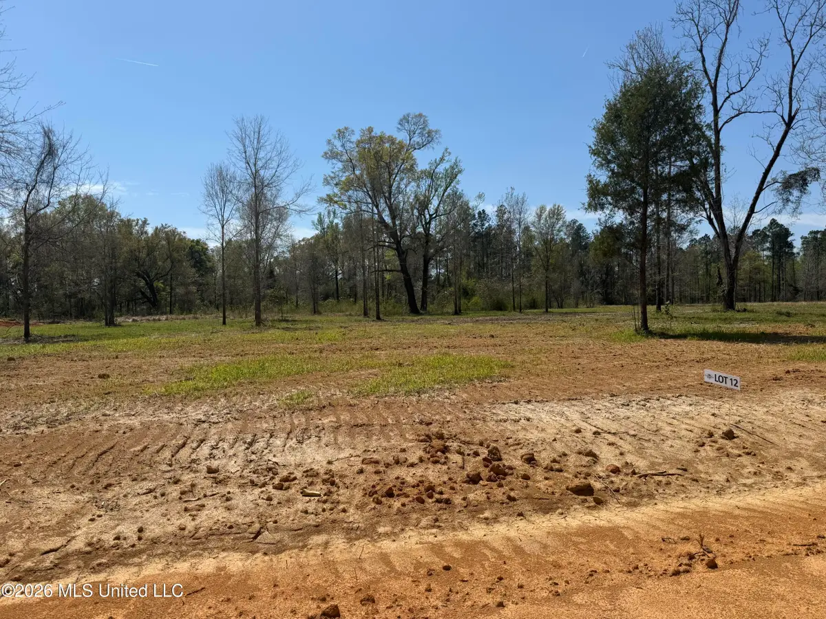 Lot 12 Oakley Lane, Lucedale, MS 39452 - #1