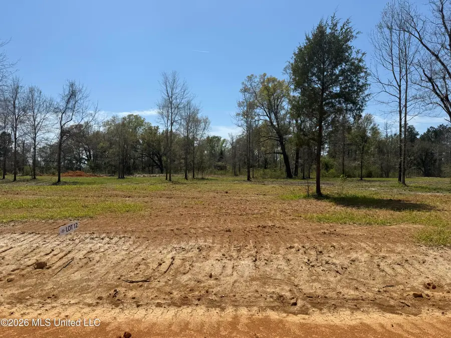 Lot 12 Oakley Lane, Lucedale, MS 39452 - #3