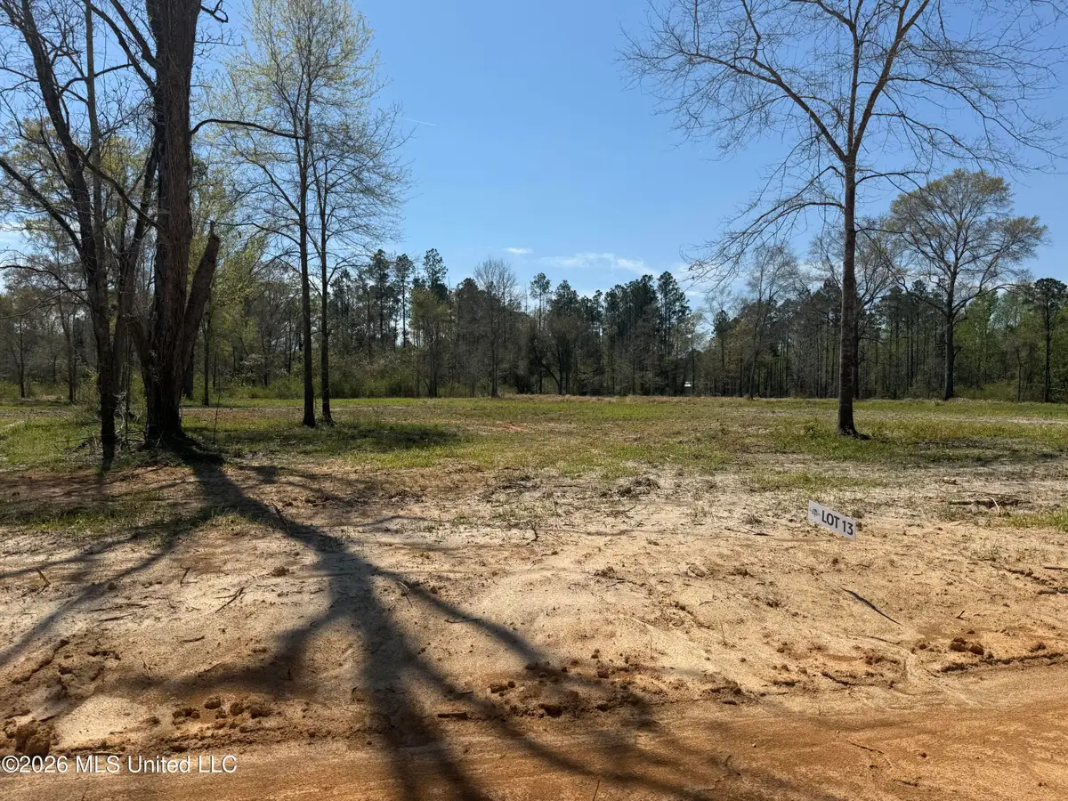 Lot 13 Oakley Lane, Lucedale, MS 39452 - #1
