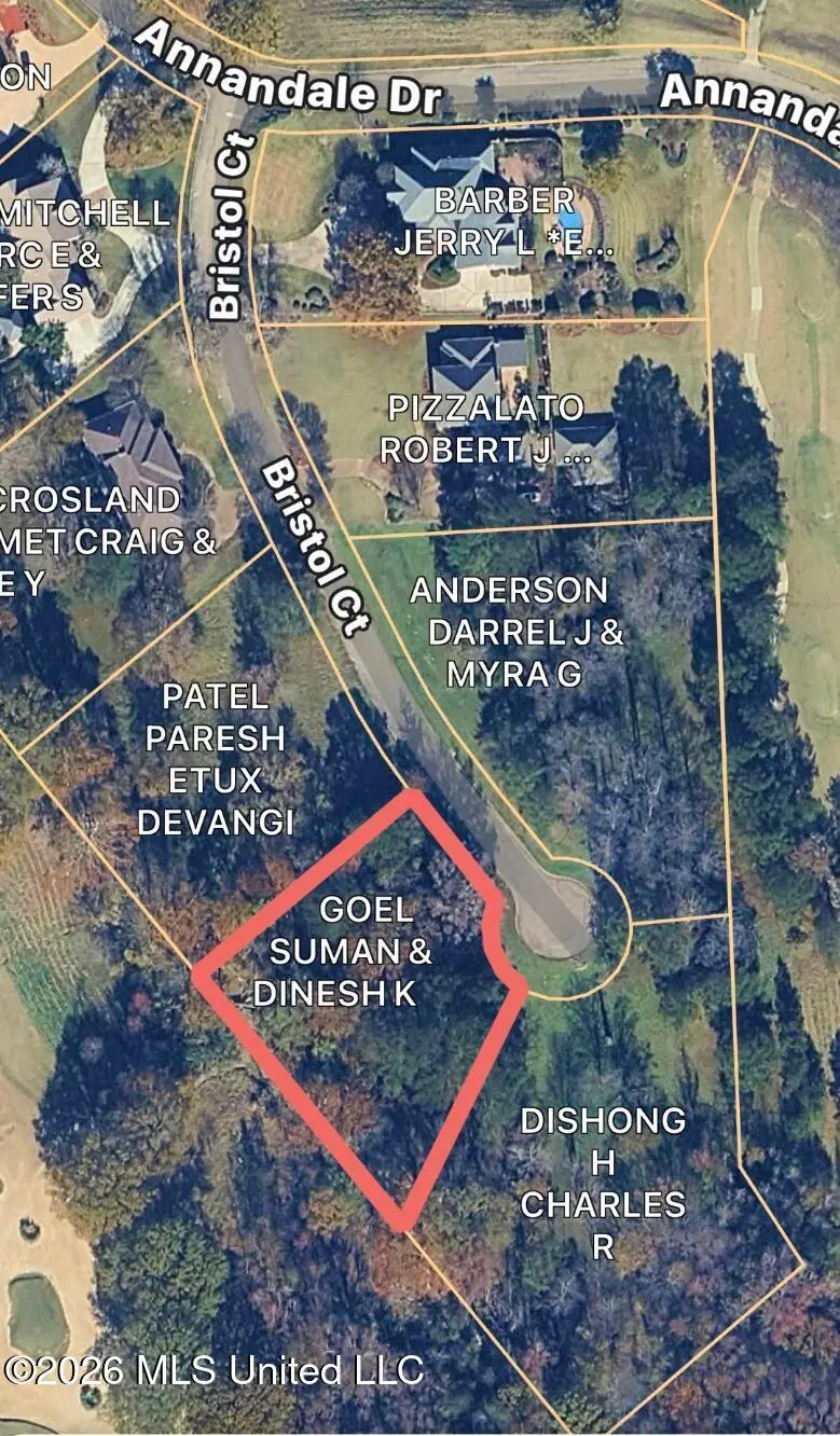 114 Bristol Court, Madison, MS 39110 - #2