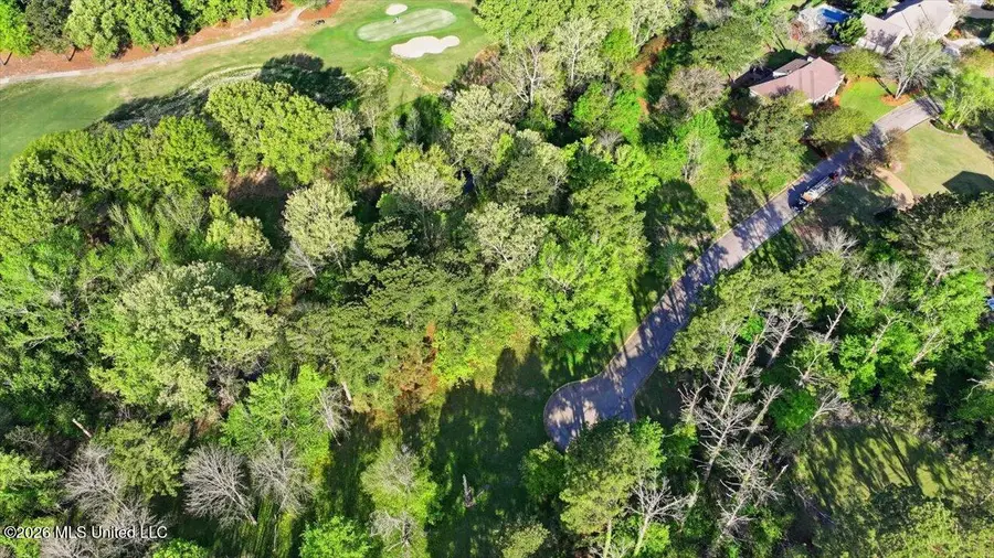 114 Bristol Court, Madison, MS 39110 - #3