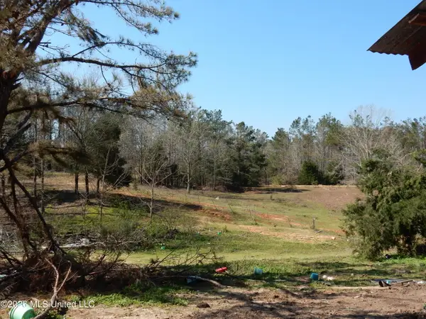 2640 Odell Road, Holly Springs, MS 38635