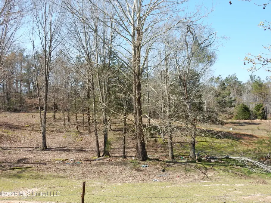 2640 Odell Road, Holly Springs, MS 38635 - #3