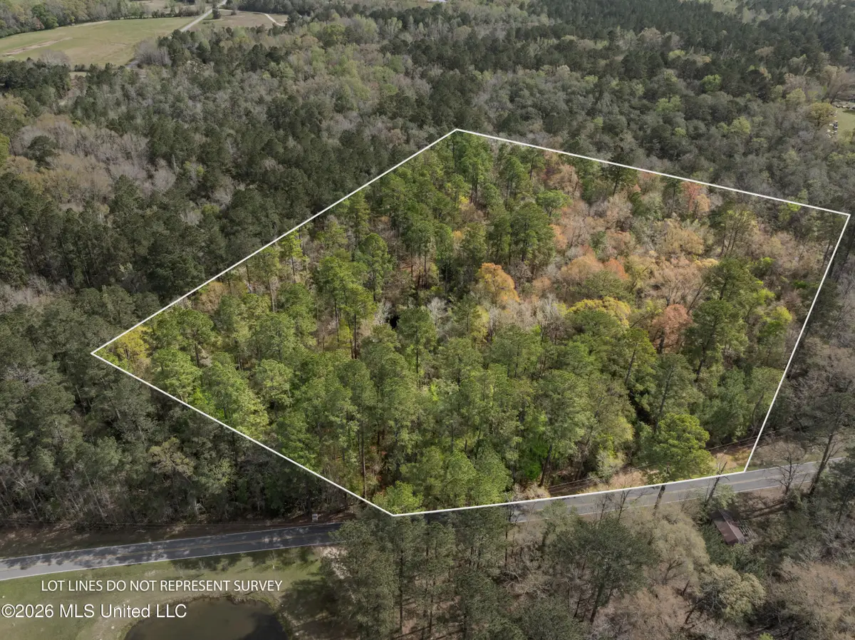 9460 Janice Brooklyn Road, Brooklyn, MS 39425 - #1