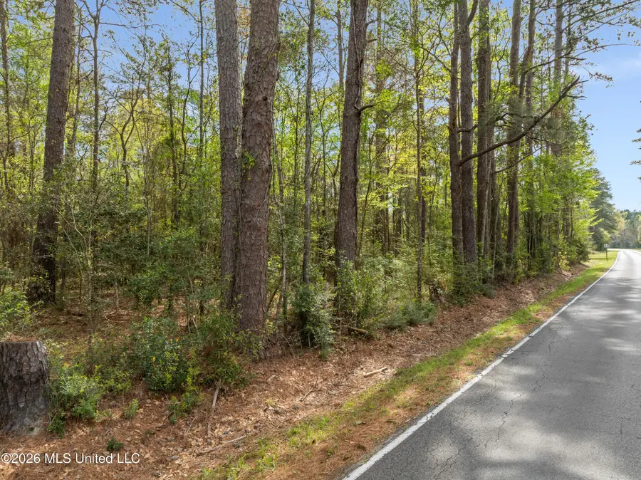 9460 Janice Brooklyn Road, Brooklyn, MS 39425 - #3