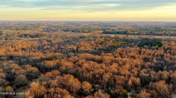 1355 Flag Lake Road, Sarah, MS 38665