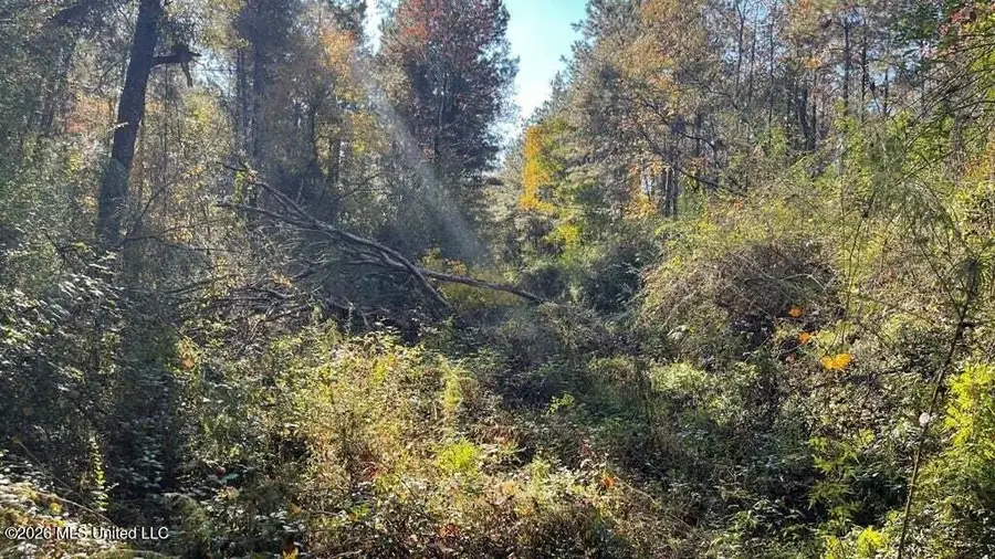 Schmidt Road, McComb, MS 39648 - #2