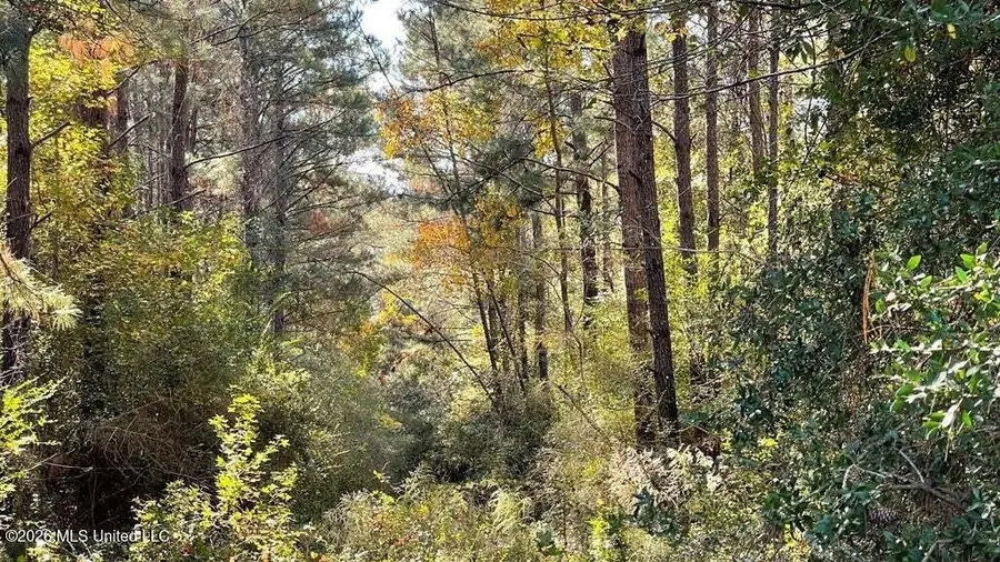 Schmidt Road, McComb, MS 39648 - #3