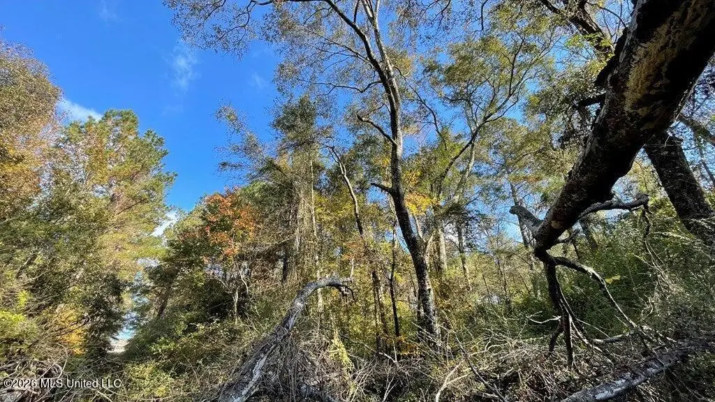 Schmidt Road, McComb, MS 39648 - #1