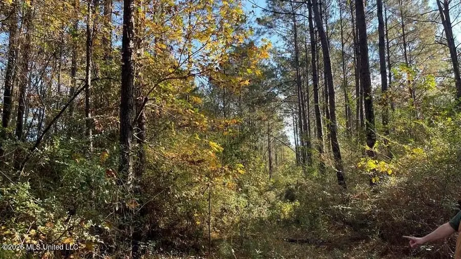 Delaware Avenue, McComb, MS 39648 - #3