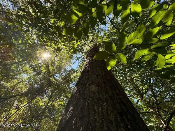 Delaware Avenue, McComb, MS 39648