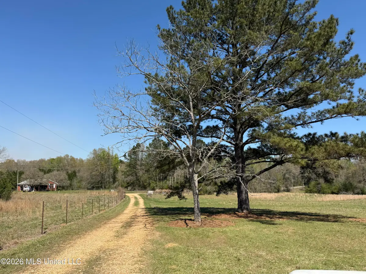 6104 Moore Lane, Smithdale, MS 39664 - #1