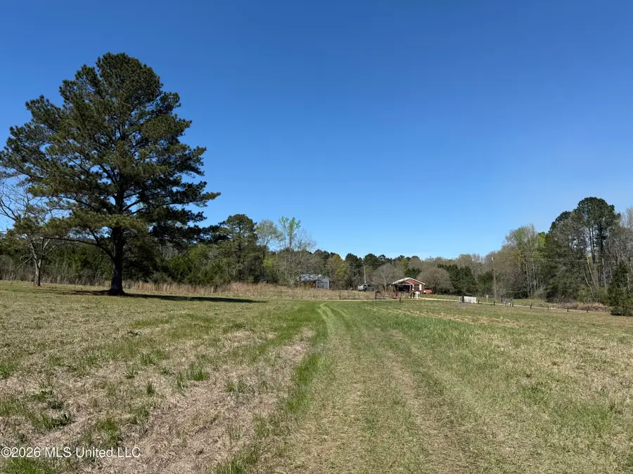 6104 Moore Lane, Smithdale, MS 39664 - #2