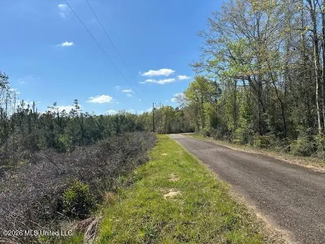 Austin Smith Road, Ruth, MS 39662 - #1
