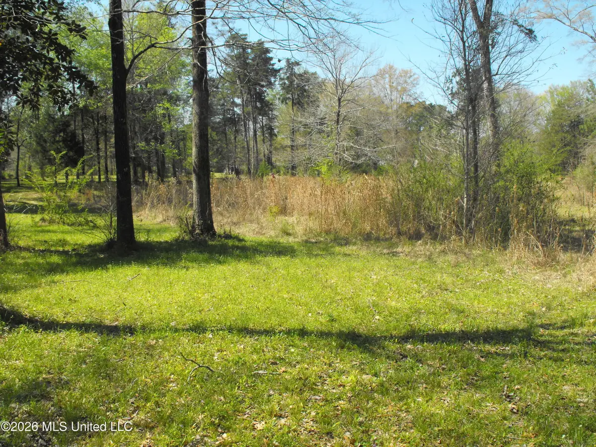 000 Berry Drive, Florence, MS 39073 - #1