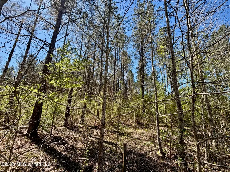 SE Evans Loop, Ruth, MS 39662 - #2