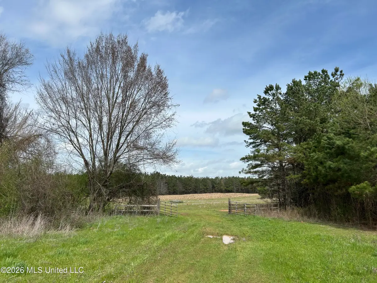 Robinson-thompson Road, Winona, MS 38967 - #1