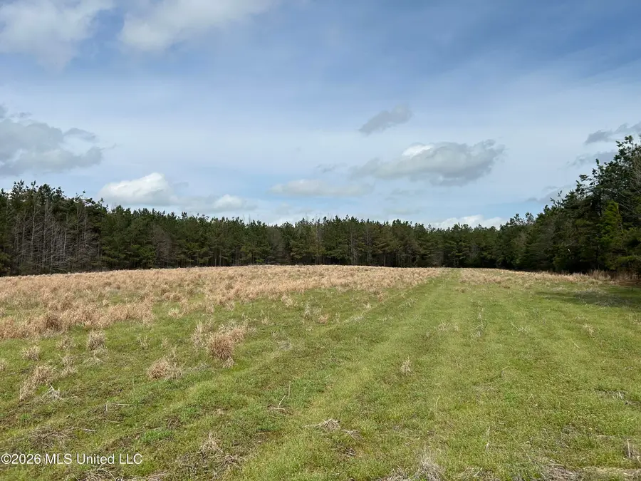 Robinson-thompson Road, Winona, MS 38967 - #3