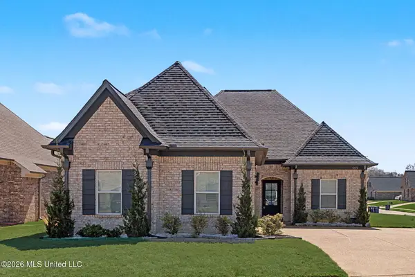 5175 Watson View Drive, Nesbit, MS 38651