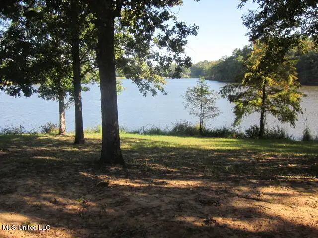 No Spring Lake Community, Vaiden, MS 39176 - #1