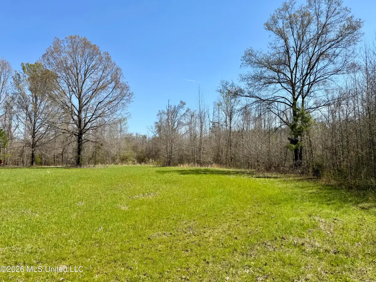 Brozville Road, Lexington, MS 39095 - #1