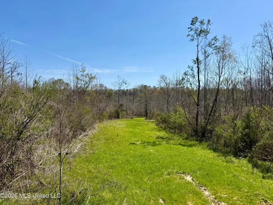 Brozville Road, Lexington, MS 39095 - #2