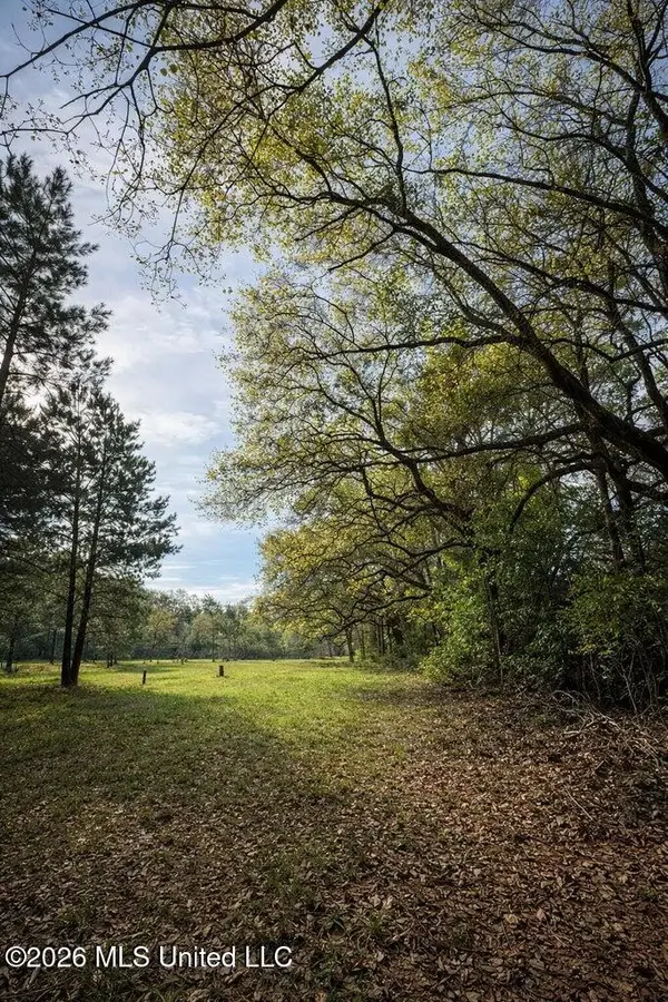 14 Acres F Z Goss Road, Picayune, MS 39466